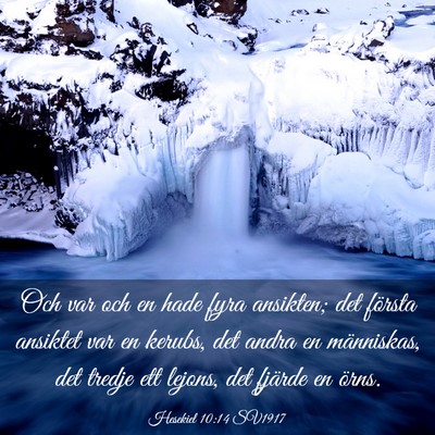 Picture 03 - Hesekiel 10:14 SV1917 - Och var och en hade fyra ansikten; det första - Bible Verse Picture
