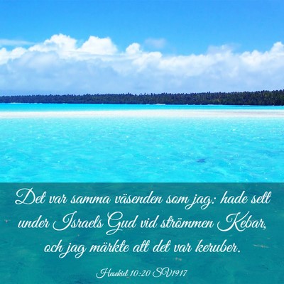 Picture 03 - Hesekiel 10:20 SV1917 - Det var samma väsenden som jag: hade sett under - Bible Verse Picture