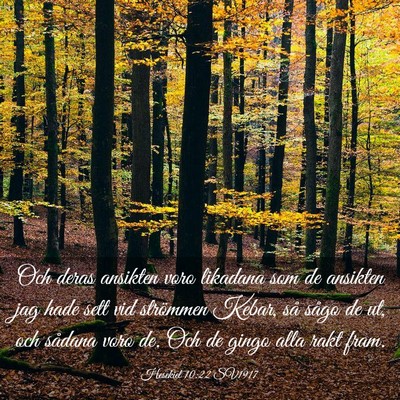 Picture 03 - Hesekiel 10:22 SV1917 - Och deras ansikten voro likadana som de ansikten - Bible Verse Picture