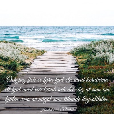 Picture 03 - Hesekiel 10:9 SV1917 - Och jag fick se fyra hjul stå invid keruberna - Bible Verse Picture