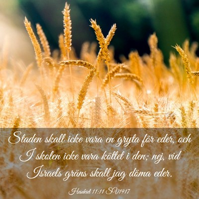 Picture 03 - Hesekiel 11:11 SV1917 - Staden skall icke vara en gryta för eder, och I - Bible Verse Picture