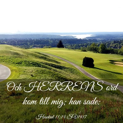 Picture 03 - Hesekiel 11:14 SV1917 - Och HERRENS ord kom till mig; han - Bible Verse Picture