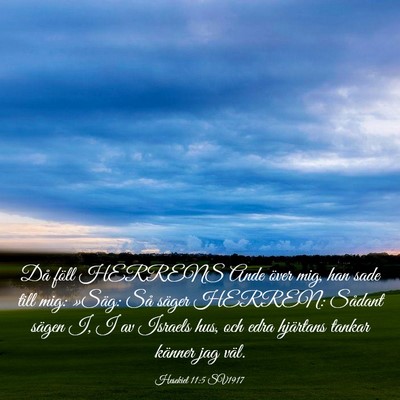Picture 03 - Hesekiel 11:5 SV1917 - Då föll HERRENS Ande över mig, han sade till - Bible Verse Picture