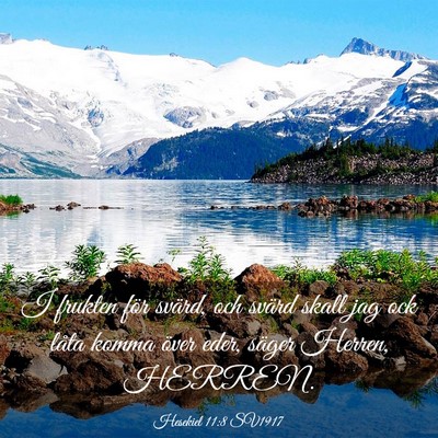 Picture 03 - Hesekiel 11:8 SV1917 - I frukten för svärd, och svärd skall jag ock - Bible Verse Picture