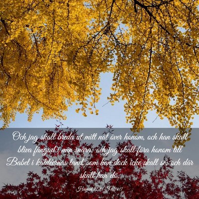 Picture 03 - Hesekiel 12:13 SV1917 - Och jag skall breda ut mitt nät över honom, och - Bible Verse Picture