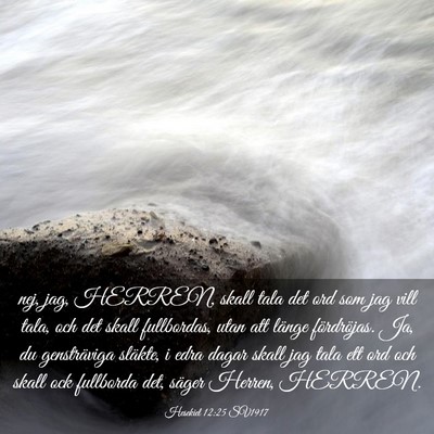 Picture 03 - Hesekiel 12:25 SV1917 - nej, jag, HERREN, skall tala det ord som jag vill - Bible Verse Picture