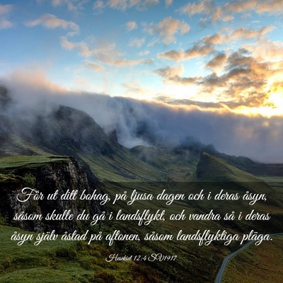Picture 03 - Hesekiel 12:4 SV1917 - För ut ditt bohag, på ljusa dagen och i deras - Bible Verse Picture