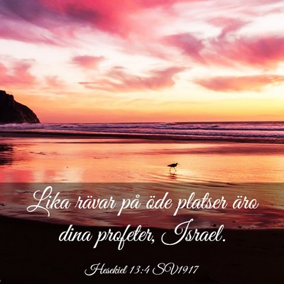 Picture 03 - Hesekiel 13:4 SV1917 - Lika rävar på öde platser äro dina profeter, - Bible Verse Picture