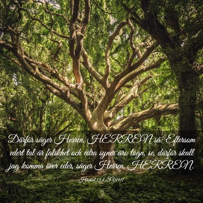 Picture 03 - Hesekiel 13:8 SV1917 - Därför säger Herren, HERREN så: Eftersom - Bible Verse Picture