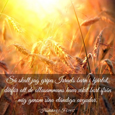 Picture 03 - Hesekiel 14:5 SV1917 - Så skall jag gripa Israels barn i hjärtat, - Bible Verse Picture