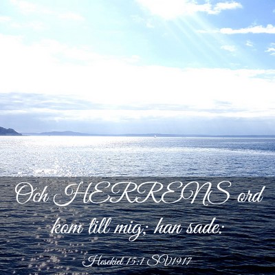 Picture 03 - Hesekiel 15:1 SV1917 - Och HERRENS ord kom till mig; han - Bible Verse Picture