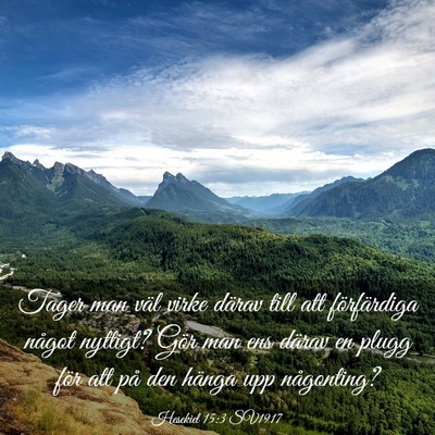Picture 03 - Hesekiel 15:3 SV1917 - Tager man väl virke därav till att förfärdiga - Bible Verse Picture