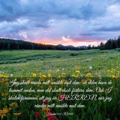 Picture 03 - Hesekiel 15:7 SV1917 - Jag skall vända mitt ansikte mot dem; ur elden - Bible Verse Picture