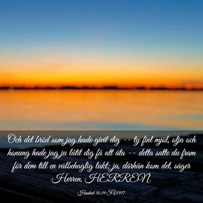 Picture 03 - Hesekiel 16:19 SV1917 - Och det bröd som jag hade givit dig -- ty fint - Bible Verse Picture