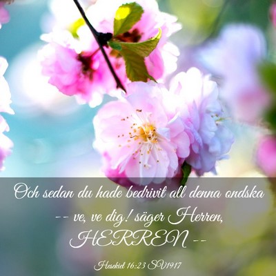 Picture 03 - Hesekiel 16:23 SV1917 - Och sedan du hade bedrivit all denna ondska -- - Bible Verse Picture