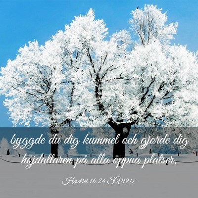 Picture 03 - Hesekiel 16:24 SV1917 - byggde du dig kummel och gjorde dig höjdaltaren - Bible Verse Picture