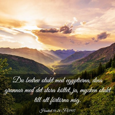 Picture 03 - Hesekiel 16:26 SV1917 - Du bedrev otukt med egyptierna, dina grannar med - Bible Verse Picture