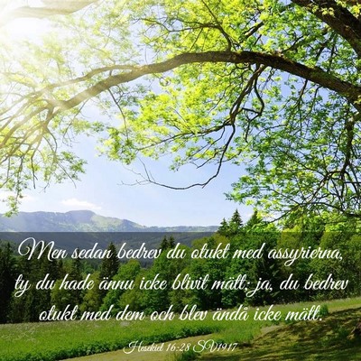Picture 03 - Hesekiel 16:28 SV1917 - Men sedan bedrev du otukt med assyrierna, ty du - Bible Verse Picture
