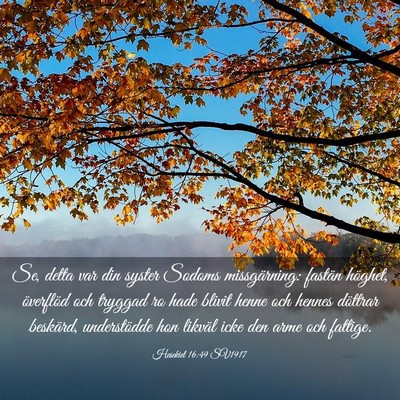 Picture 03 - Hesekiel 16:49 SV1917 - Se, detta var din syster Sodoms missgärning: - Bible Verse Picture