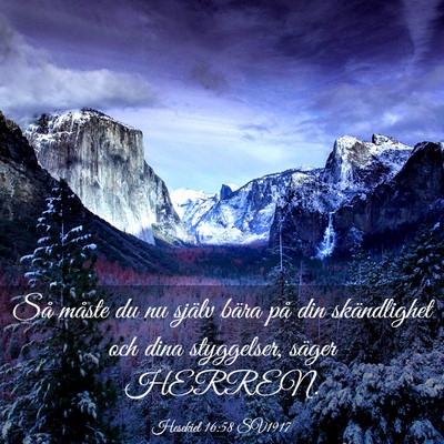 Picture 03 - Hesekiel 16:58 SV1917 - Så måste du nu själv bära på din - Bible Verse Picture