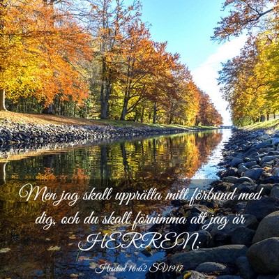 Picture 03 - Hesekiel 16:62 SV1917 - Men jag skall upprätta mitt förbund med dig, - Bible Verse Picture