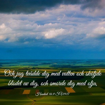 Picture 03 - Hesekiel 16:9 SV1917 - Och jag tvådde dig med vatten och sköljde - Bible Verse Picture