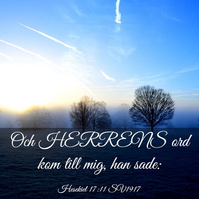 Picture 03 - Hesekiel 17:11 SV1917 - Och HERRENS ord kom till mig, han - Bible Verse Picture