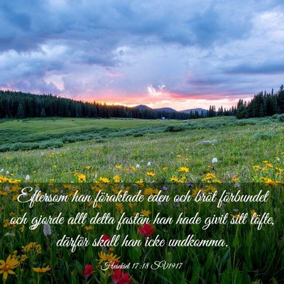 Picture 03 - Hesekiel 17:18 SV1917 - Eftersom han föraktade eden och bröt förbundet - Bible Verse Picture