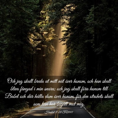 Picture 03 - Hesekiel 17:20 SV1917 - Och jag skall breda ut mitt nät över honom, och - Bible Verse Picture