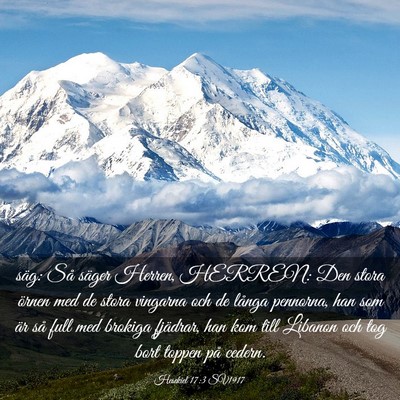 Picture 03 - Hesekiel 17:3 SV1917 - säg: Så säger Herren, HERREN: Den stora örnen - Bible Verse Picture