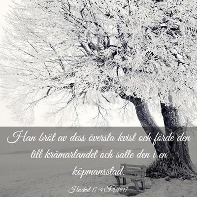 Picture 03 - Hesekiel 17:4 SV1917 - Han bröt av dess översta kvist och förde den - Bible Verse Picture