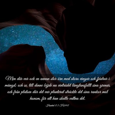 Picture 03 - Hesekiel 17:7 SV1917 - Men där var ock en annan stor örn med stora - Bible Verse Picture