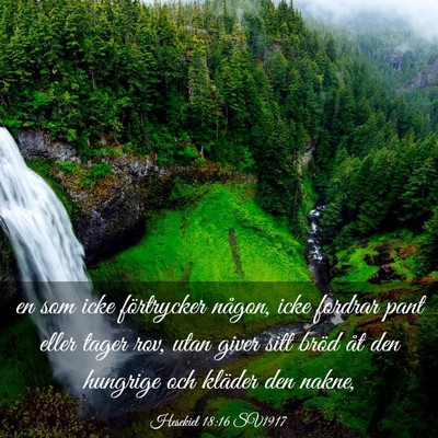 Picture 03 - Hesekiel 18:16 SV1917 - en som icke förtrycker någon, icke fordrar pant - Bible Verse Picture