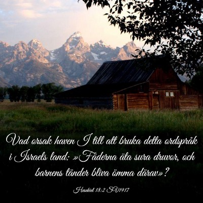 Picture 03 - Hesekiel 18:2 SV1917 - Vad orsak haven I till att bruka detta ordspråk - Bible Verse Picture