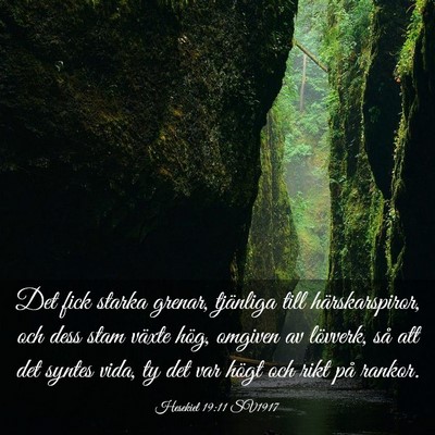 Picture 03 - Hesekiel 19:11 SV1917 - Det fick starka grenar, tjänliga till - Bible Verse Picture
