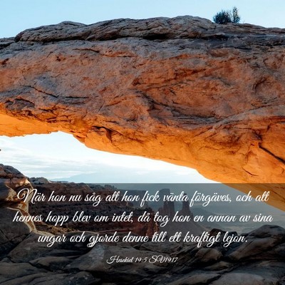 Picture 03 - Hesekiel 19:5 SV1917 - När hon nu såg att hon fick vänta förgäves, - Bible Verse Picture