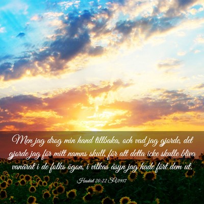 Picture 03 - Hesekiel 20:22 SV1917 - Men jag drog min hand tillbaka, och vad jag - Bible Verse Picture