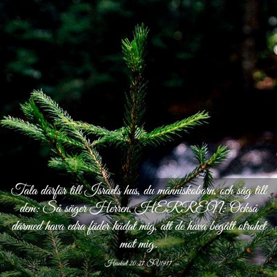Picture 03 - Hesekiel 20:27 SV1917 - Tala därför till Israels hus, du människobarn, - Bible Verse Picture
