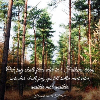 Picture 03 - Hesekiel 20:35 SV1917 - Och jag skall föra eder in i Folkens öken, och - Bible Verse Picture