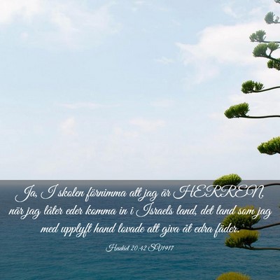 Picture 03 - Hesekiel 20:42 SV1917 - Ja, I skolen förnimma att jag är HERREN, när - Bible Verse Picture