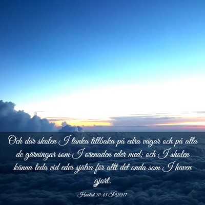 Picture 03 - Hesekiel 20:43 SV1917 - Och där skolen I tänka tillbaka på edra vägar - Bible Verse Picture