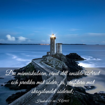 Picture 03 - Hesekiel 20:46 SV1917 - Du människobarn, vänd ditt ansikte söderut och - Bible Verse Picture