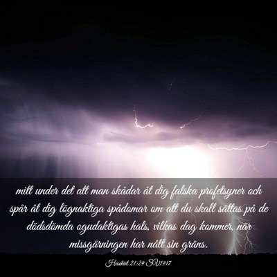 Picture 03 - Hesekiel 21:29 SV1917 - mitt under det att man skådar åt dig falska - Bible Verse Picture