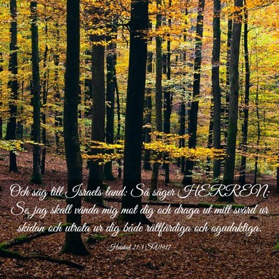 Picture 03 - Hesekiel 21:3 SV1917 - Och säg till Israels land: Så säger HERREN: - Bible Verse Picture