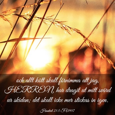 Picture 03 - Hesekiel 21:5 SV1917 - och allt kött skall förnimma att jag, HERREN, - Bible Verse Picture