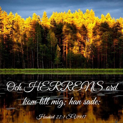 Picture 03 - Hesekiel 22:1 SV1917 - Och HERRENS ord kom till mig; han - Bible Verse Picture