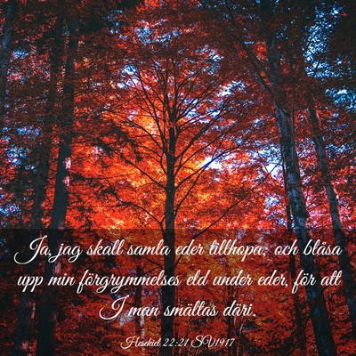 Picture 03 - Hesekiel 22:21 SV1917 - Ja, jag skall samla eder tillhopa; och blåsa upp - Bible Verse Picture