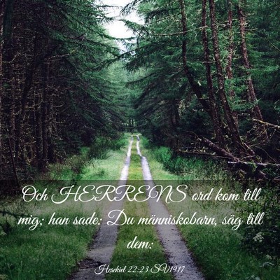 Picture 03 - Hesekiel 22:23 SV1917 - Och HERRENS ord kom till mig; han sade: Du - Bible Verse Picture