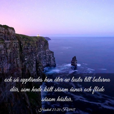 Picture 03 - Hesekiel 23:20 SV1917 - och så upptändes hon åter av lusta till - Bible Verse Picture