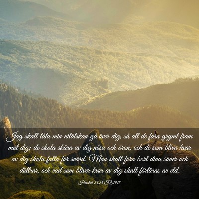 Picture 03 - Hesekiel 23:25 SV1917 - Jag skall låta min nitälskan gå över dig, så - Bible Verse Picture